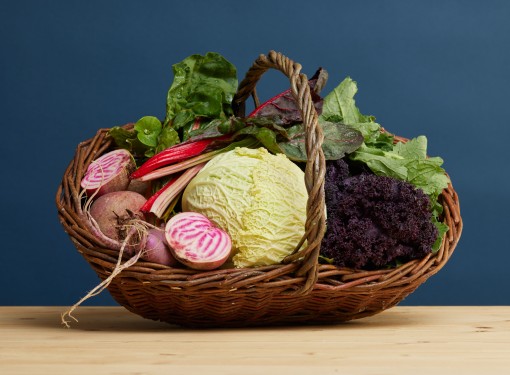 Légumes frais - Le Potag'Œx Sàrl