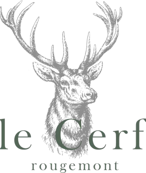 Serveur-se / Chef-fe de rang Serveur-se / Chef-fe de rang