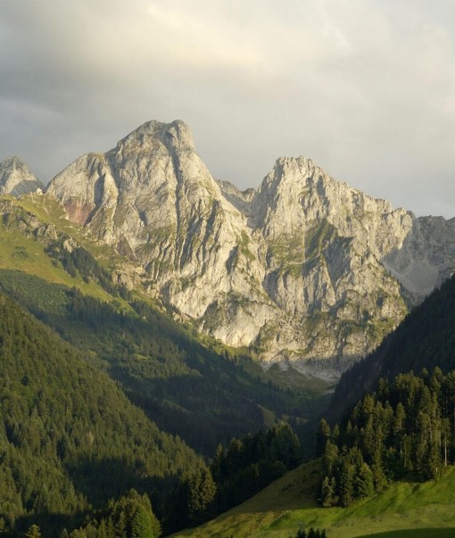 Co-directeur du Parc Régional Gruyère Pays-d'Enhaut